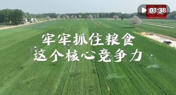 瞭望·治國理政紀事｜牢牢抓住糧食這個核心競爭力(圖2)